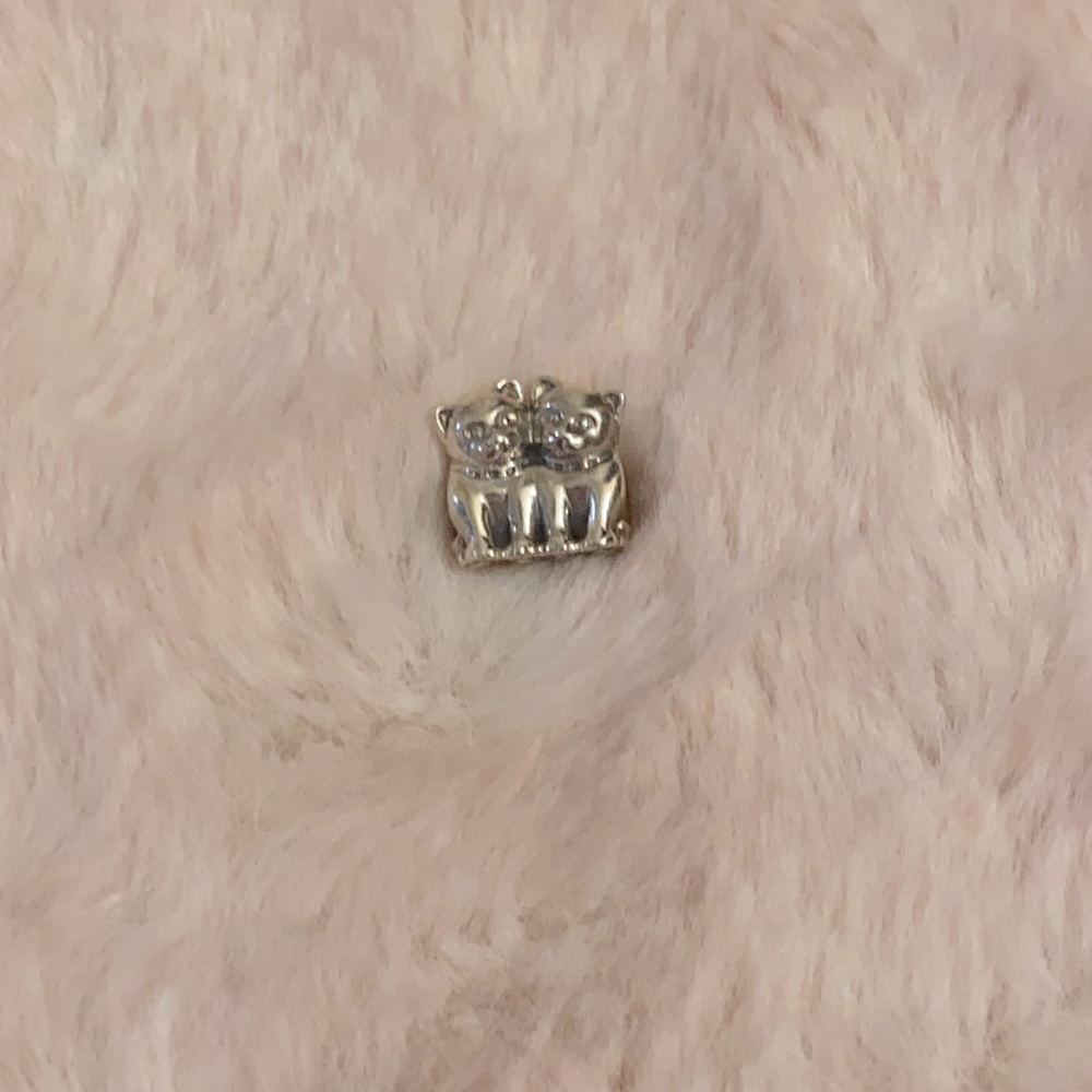 Pandora Charm